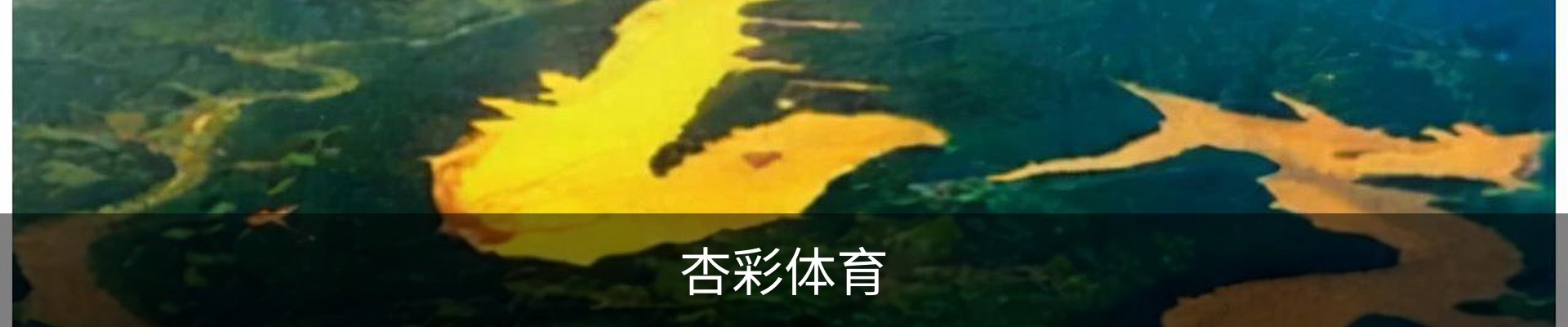 杏彩体育